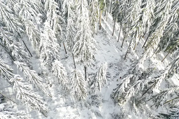 Photo décorative du site, paysage de la Nièvre et du Morvan